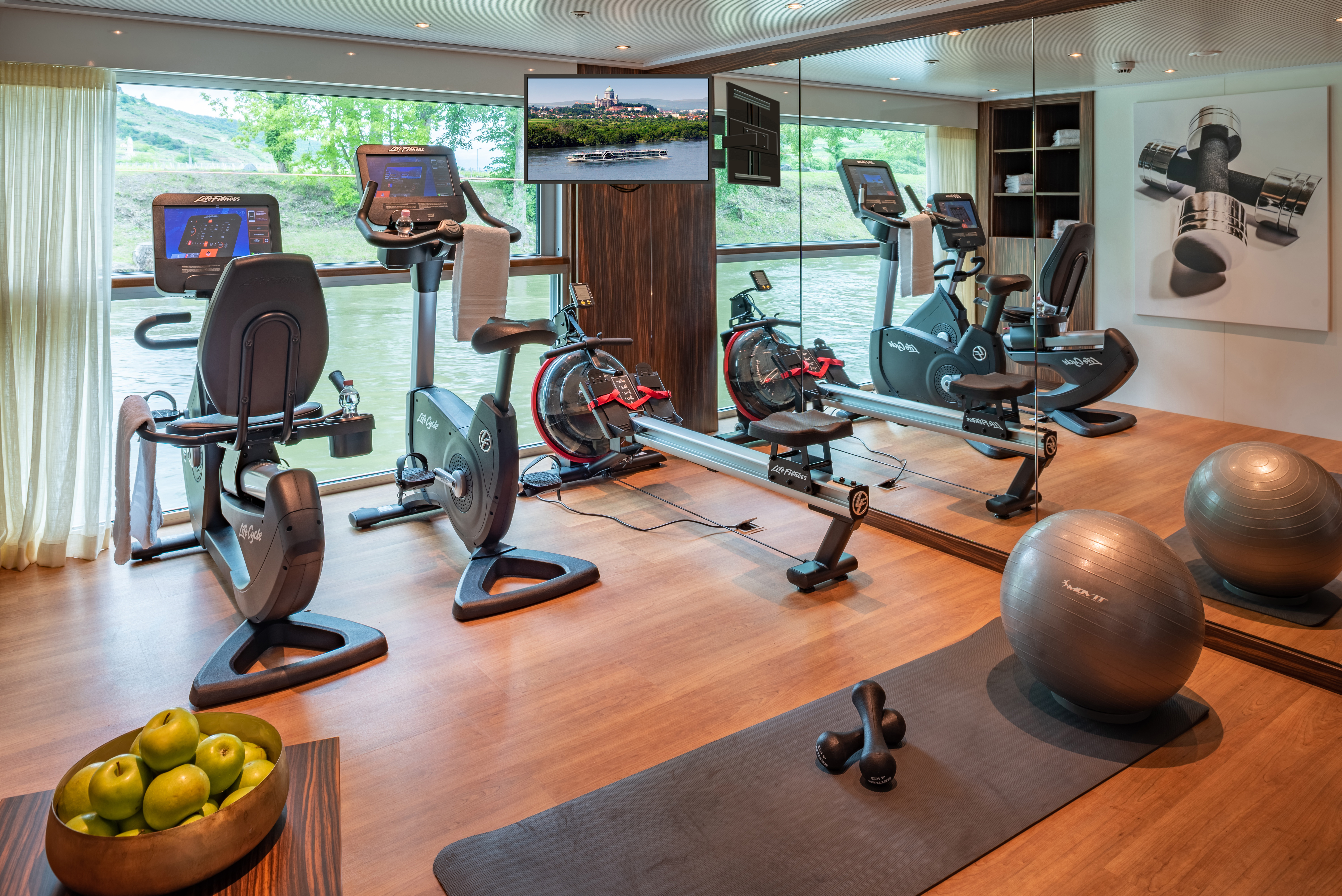 Amadeus River Cruises - Amadeus Star - Health - Gym Fitness.jpg